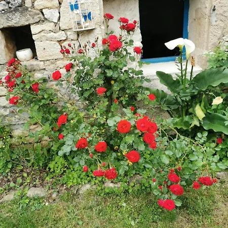 La Huppe